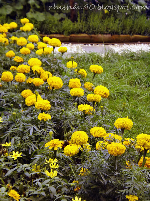 Taman Pertanian 2012-07069