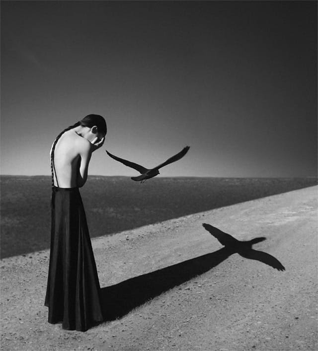 http://www.thisiscolossal.com/wp-content/uploads/2013/02/oszvald-5.jpg