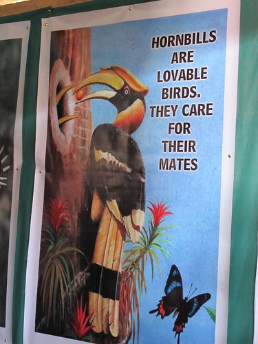 Hornbill Conservation poster, Hornbill Festival