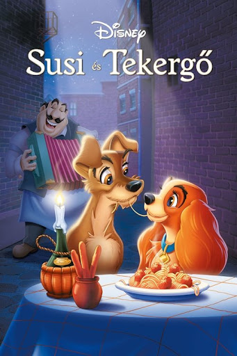 Kép