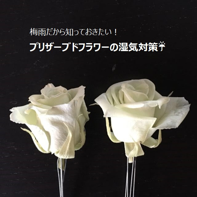 梅雨だから知っておきたい プリザーブドフラワー湿気対策2つの方法 フラワーエデュケーションジャパン