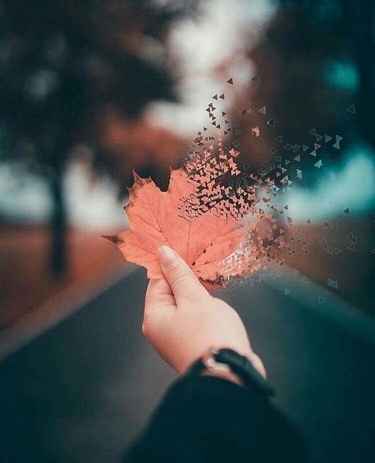 Change : the only constant in life  