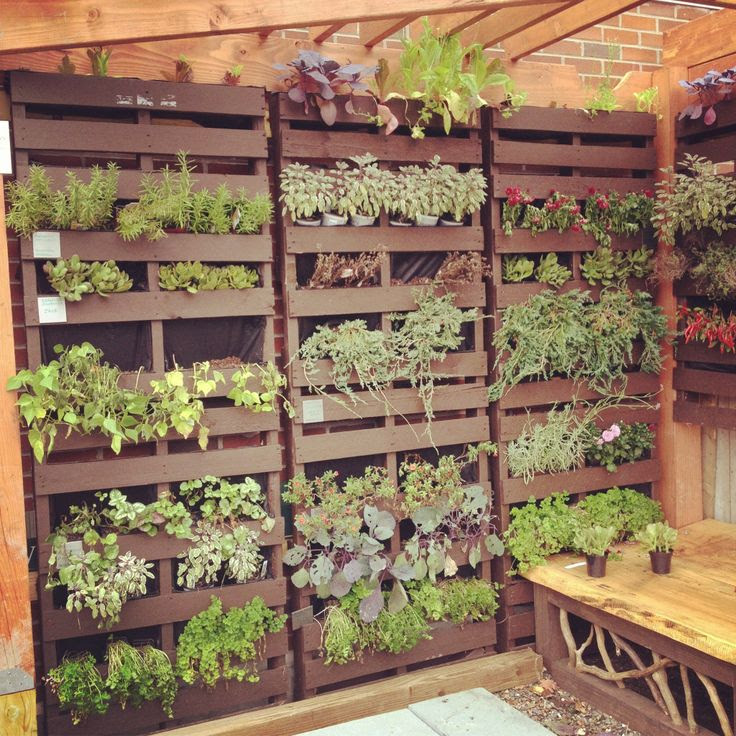 Un jardín de pared con palets - I Love Palets