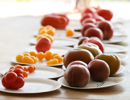 Tomato tasting party / Tomatite degusteerimine, 2010