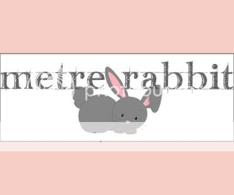 Metre Rabbit