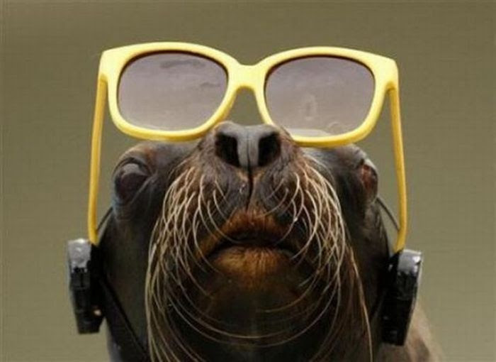 Acid Picdump (204 pics) Acid Picdump (204 pics)