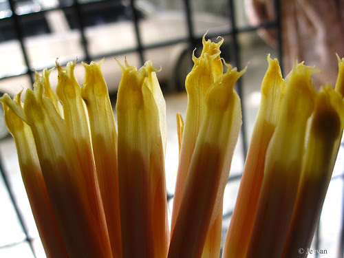Banana flowers