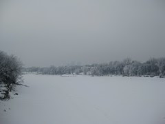 IMG_2874.JPG