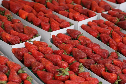 Strawberries from the Farmer's Market