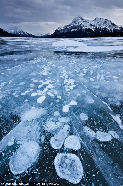 Despite their beautiful appearance, these strange white bubbles trapped just inches under the surface of this frozen ice are in fact highly-flammable pockets of toxic gas methane