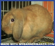 Create your own banner at mybannermaker.com!
