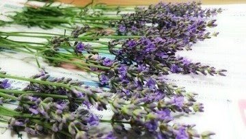 ラベンダースティックを作りました サテンリボン紹介 Sayuri Ha 雑多なハンドメイド記録