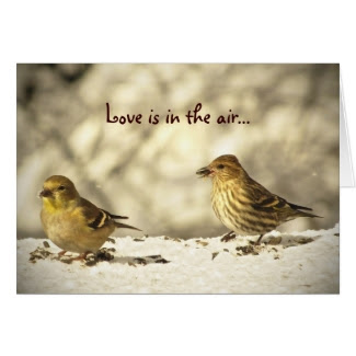 Goldfinch and Pine Siskin Valentines Day
