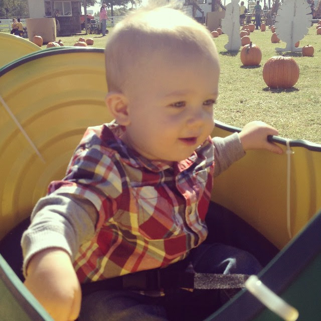 Ty in barrel train