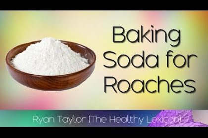 Home Remedies For Cockroaches