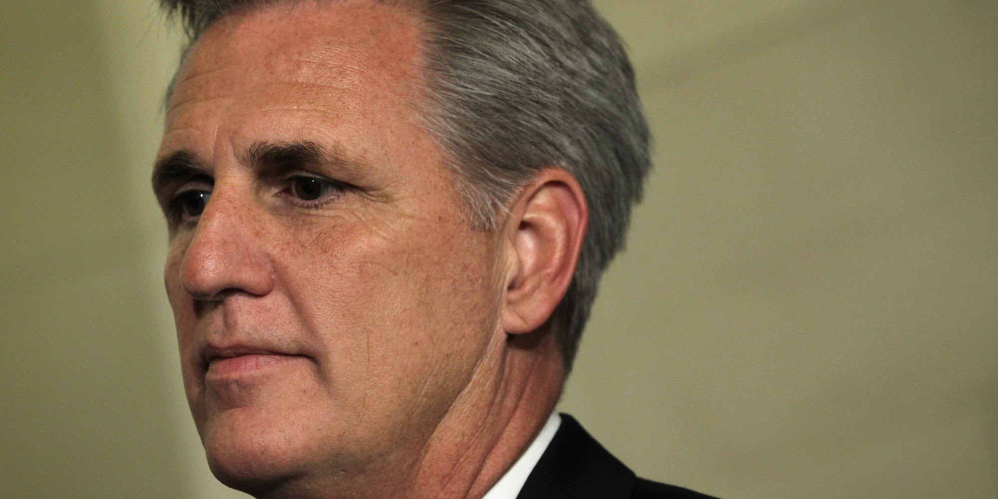 who is the house majority leader