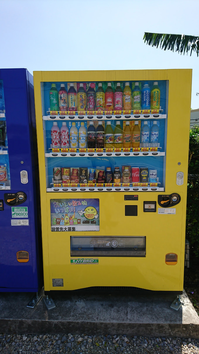 ルートビアってあれなんや 石垣島 Free Fowls Blog 石垣島ブログ