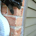 Paint Grade Brick - Selecting the best brick paint can be a little tricky if you don't have any previous idea about it.