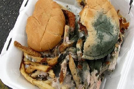 Don't have uber eats in your area? Innovative Packaging Takes On Food Waste