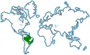 Explore The Amazon Rainforest General Amazon Facts