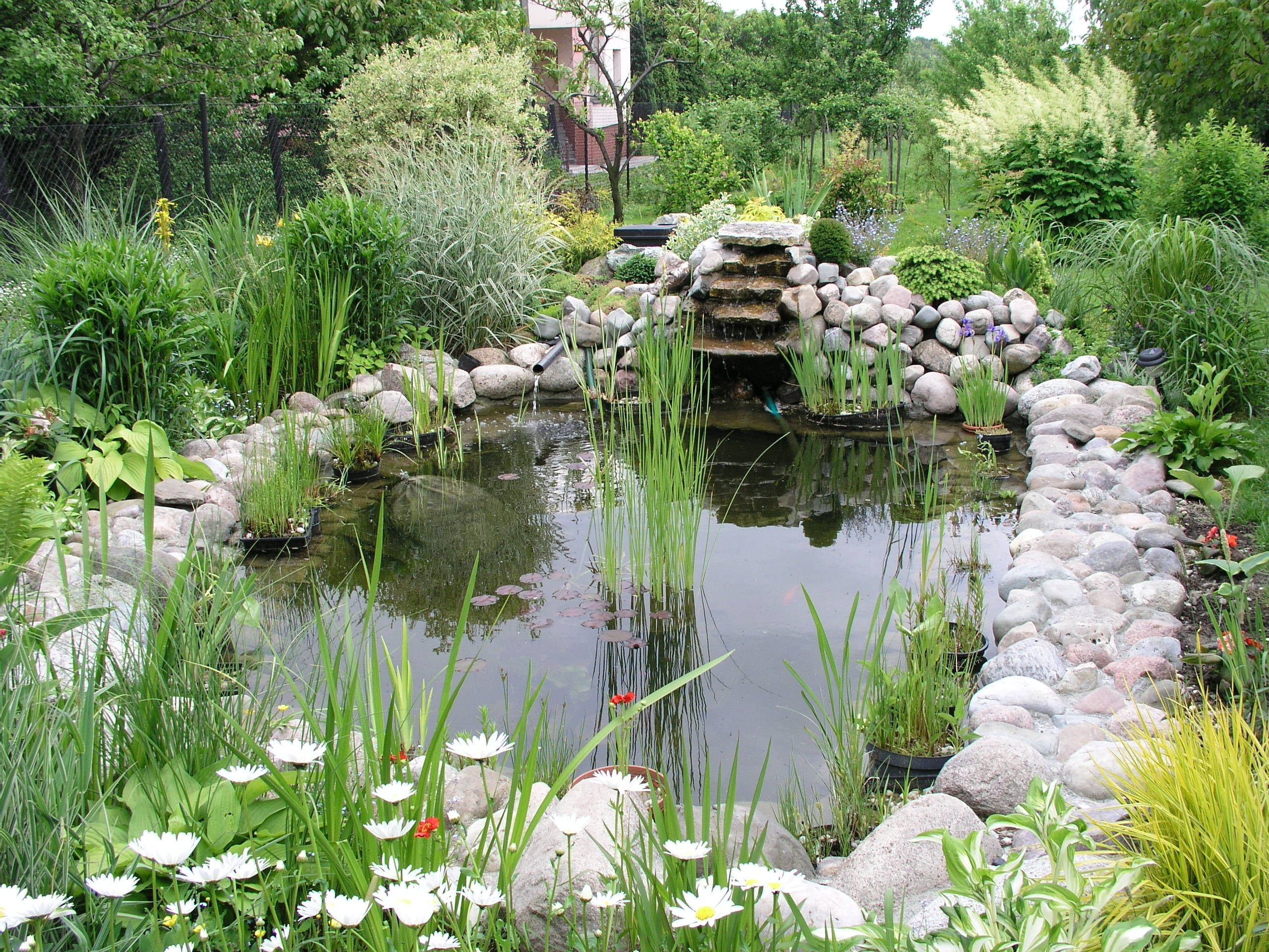 Water garden - Wikipedia, the free encyclopedia