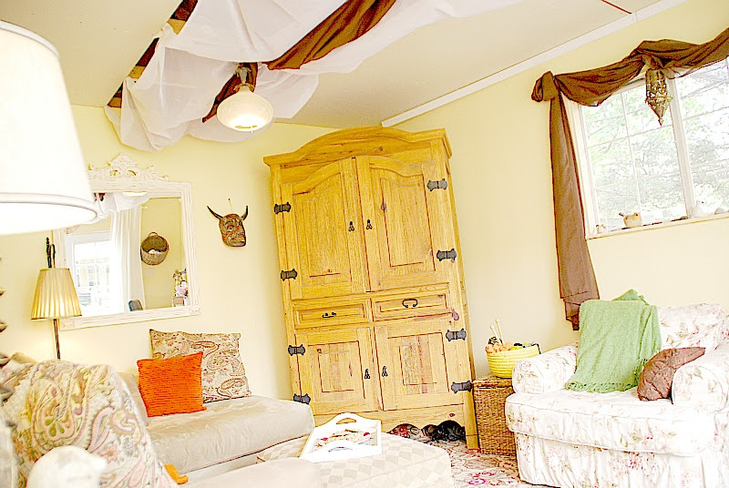 Converting Sheds into Livable Space - Miniature Homes and 