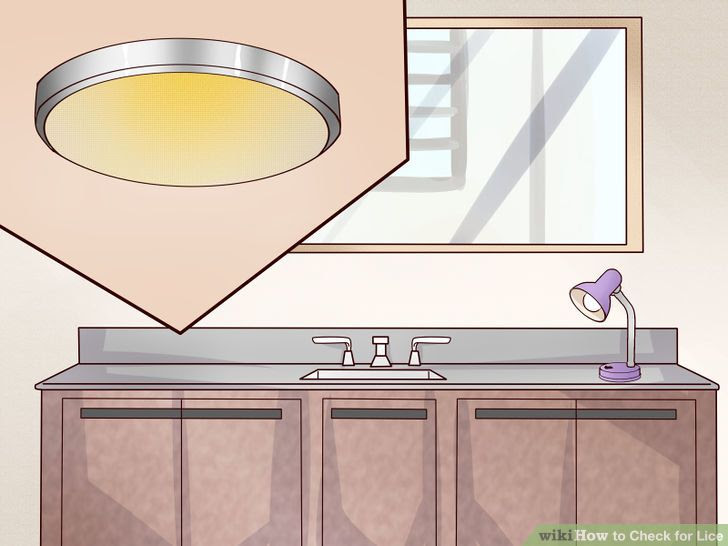 Check for Lice Step 16 Version 2.jpg