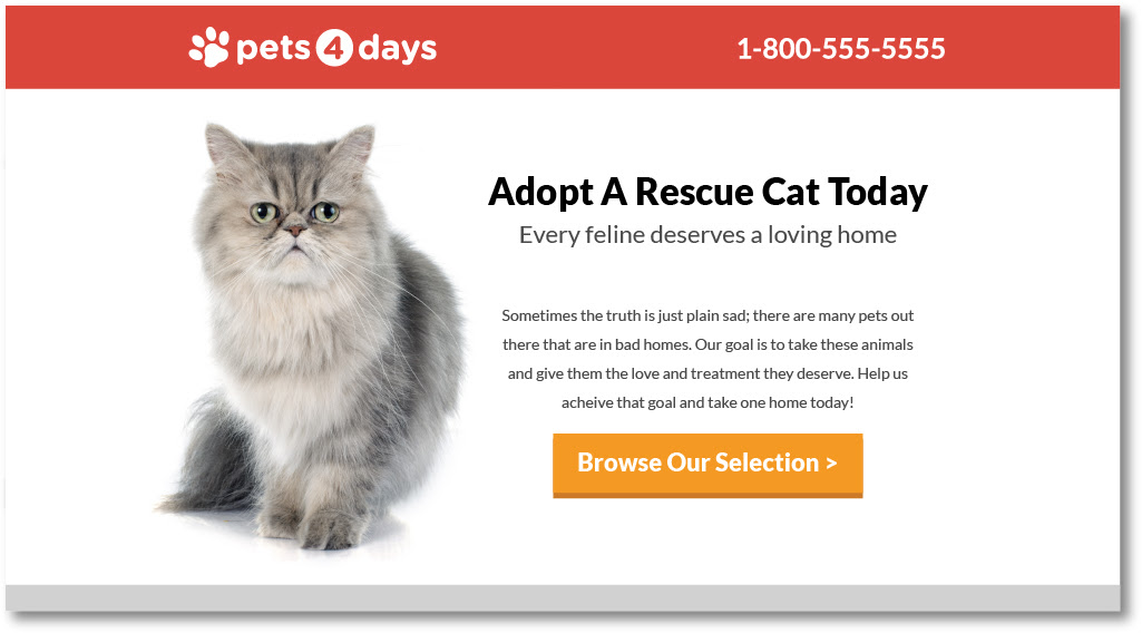 targeted-landing-page-example