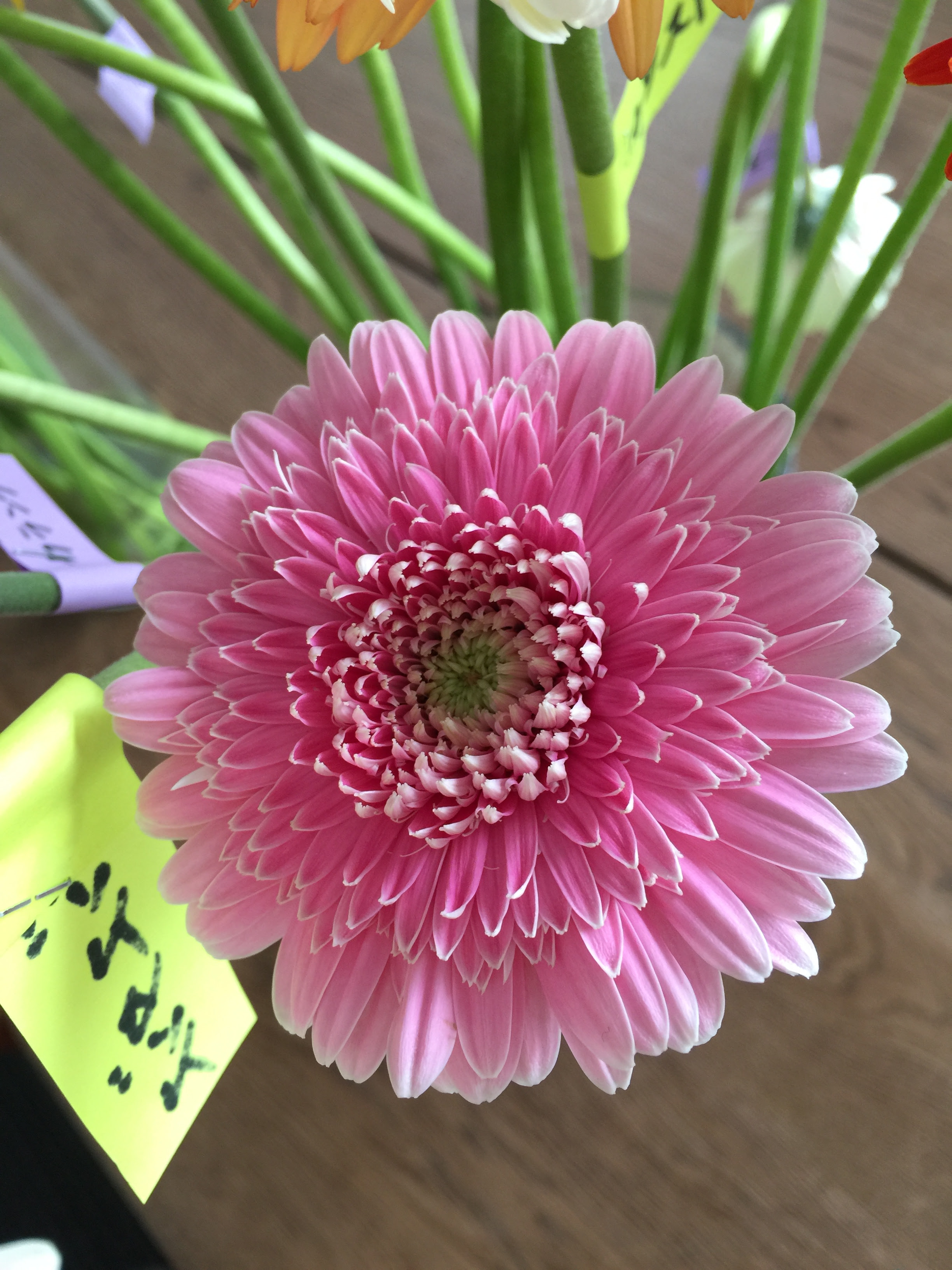みちくさ 花市場の仲卸 大森花卉 おおもりかき