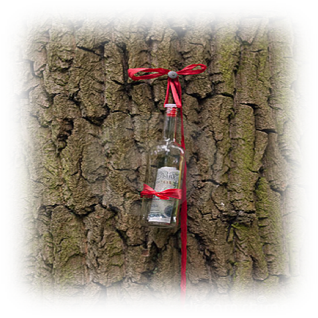 clue in a bottle for treasure hunt