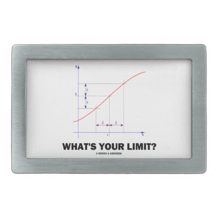 What's Your Limit? Limit Function Geek Humor Belt Buckle