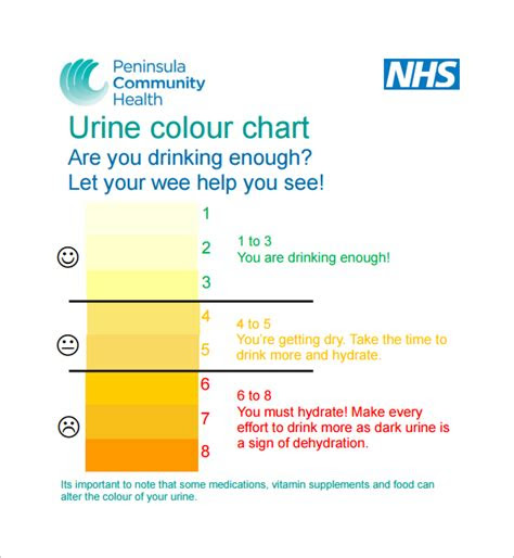Weburine colour normally ranges between light yellow and dark amber. free 10 sample urine color chart templates in pdf ms word