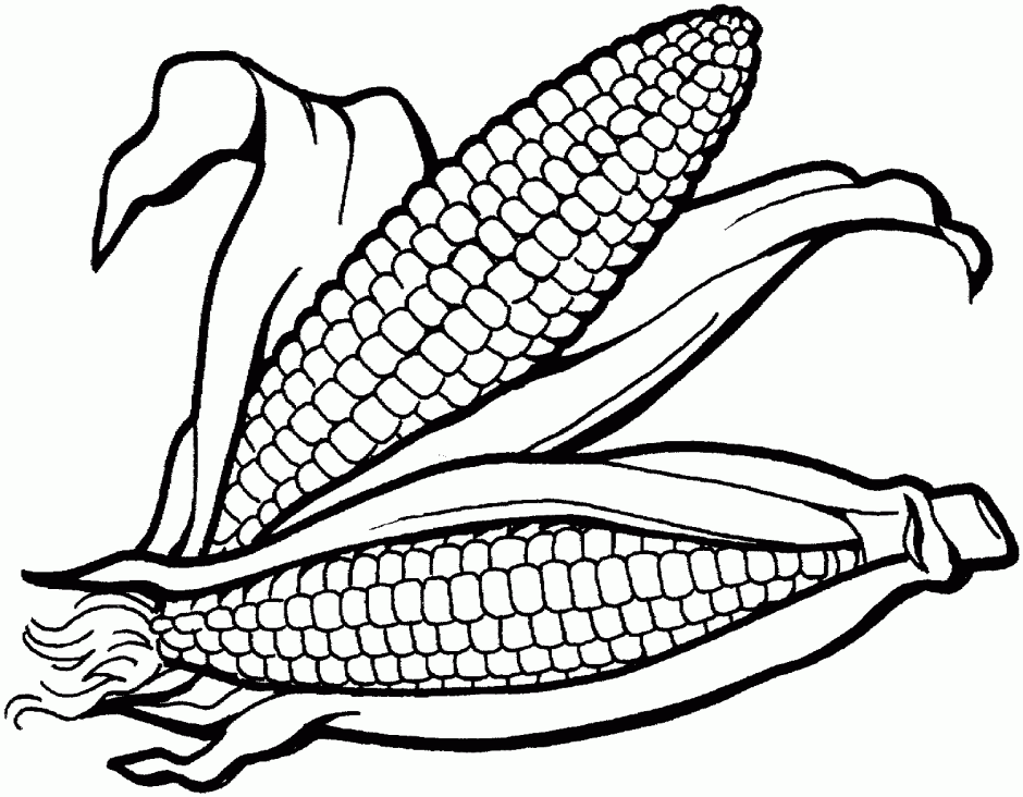 Free Corn Coloring Pages Printable Download Free Clip Art Free