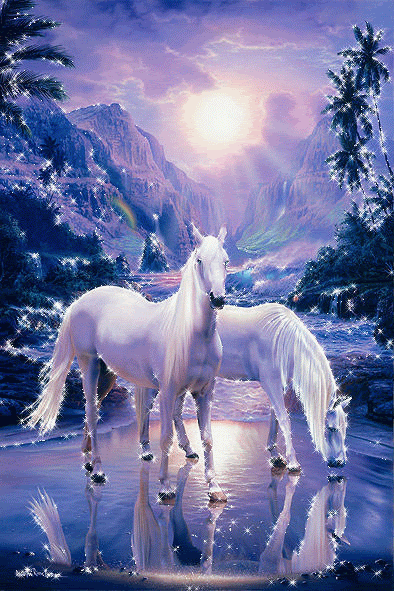 Cavalos -1