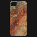 Vintage aircraft fuselage iPhone 5 cases