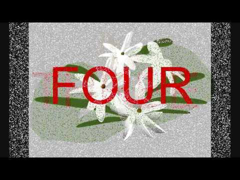 Tags: filipino pinoy philippines tattoo sampaguita flower