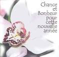 You, Me & Marjorie: BONNE ANNéE!