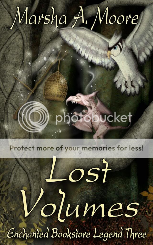 Lost Volume Book cover