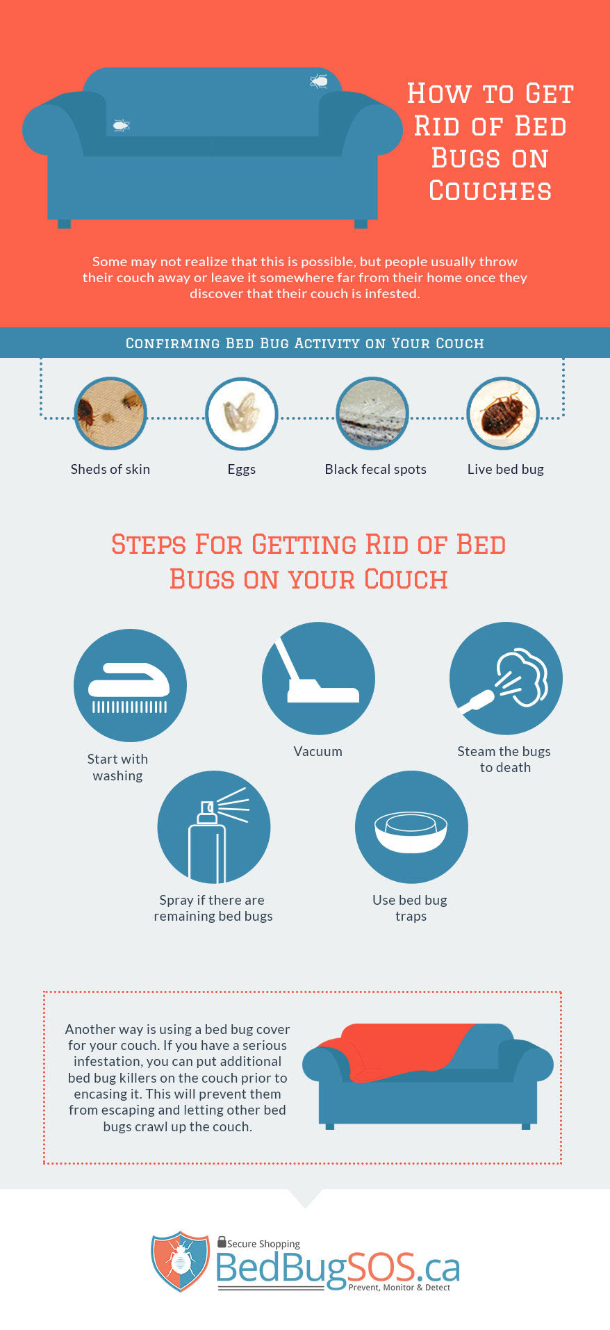 How To Get Rid Of Bed Bugs On Couches Bed Bug Sos