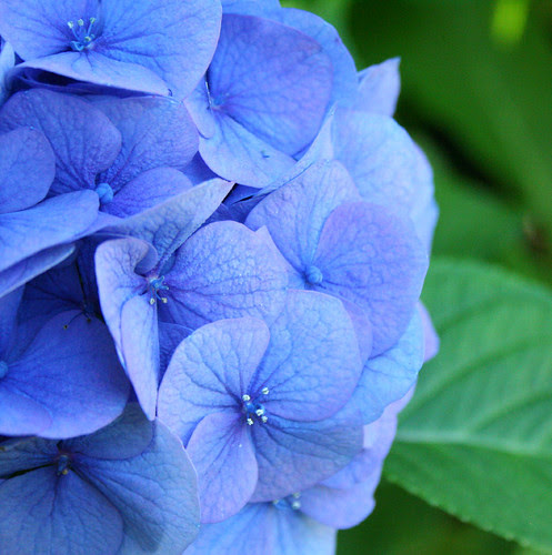 I wish I could describe this color