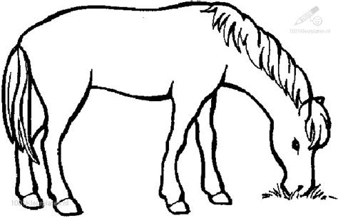 schattige paarden kleurplaten