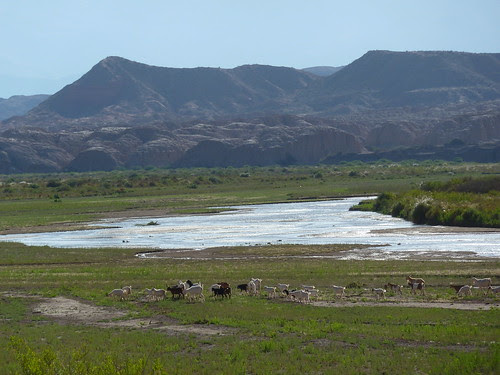 P1070586
