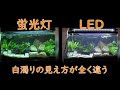画像 水草 蛍光 灯 523299