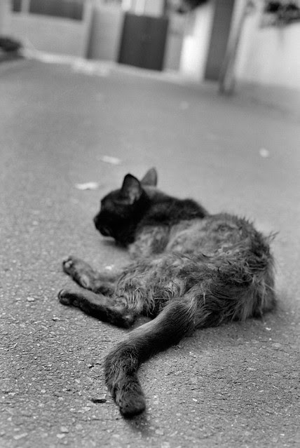 Golden Slumbers