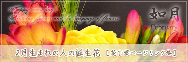 2月生まれの人の誕生花 の花言葉 誕生花 チルの工房 无域屋 花札庵