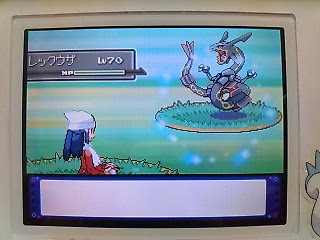 こっそりポケトレ ルビー