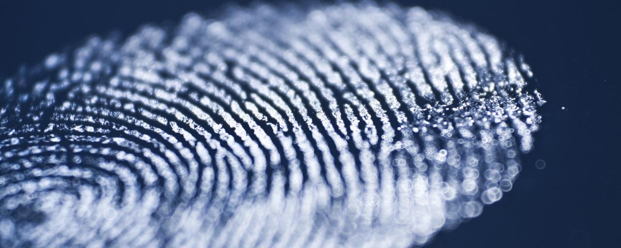 بصمات أصابع 