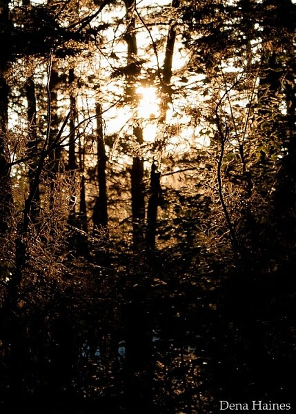 sun-flares-creative-photography-tips
