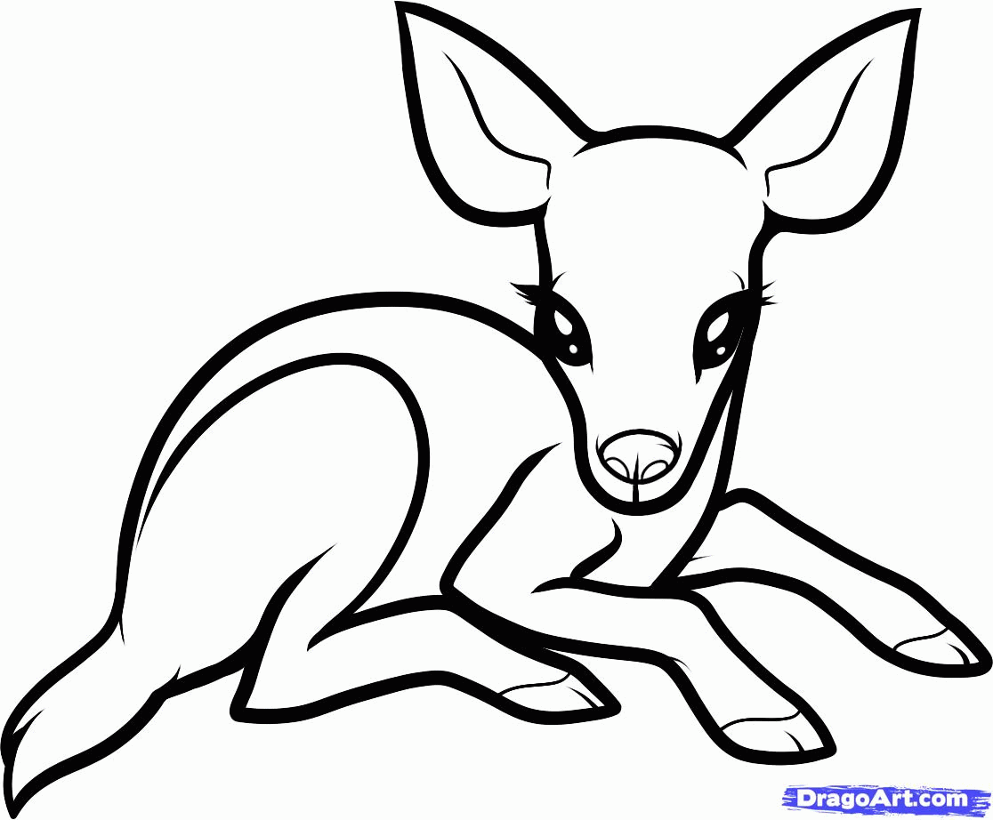 Download Cute Baby Animal Coloring Pages Dragoart - Coloring Home