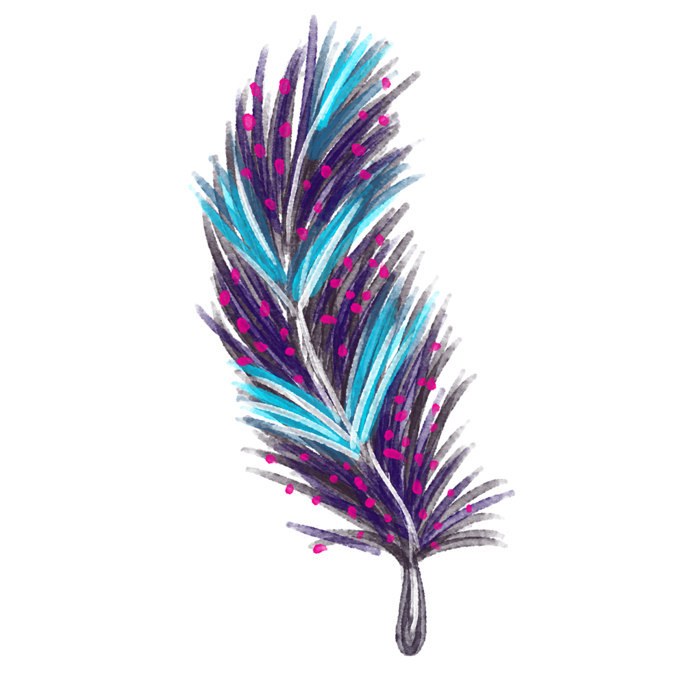 Download Feather Euclidean vector - feather png download - 1000 ...